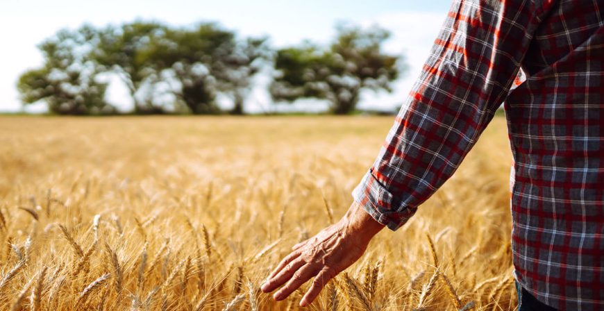 organomineral-gubre-02